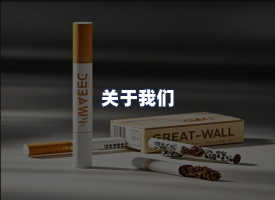 关于我们